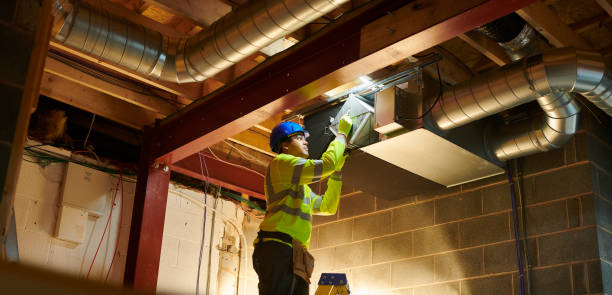 Air Duct Mold Removal in CO